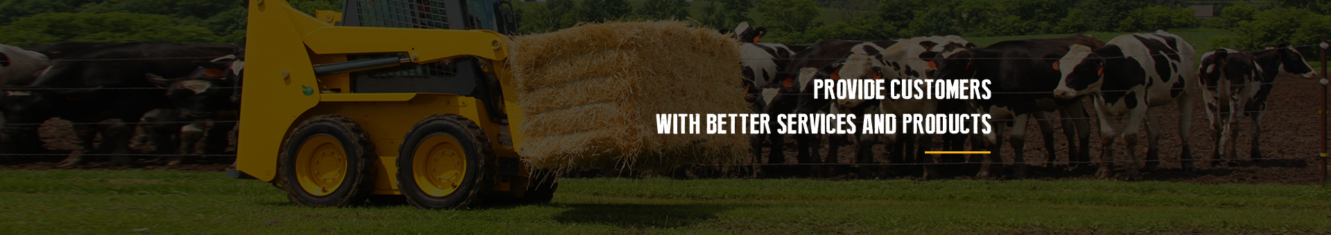 SDEC Diesel Generator Set